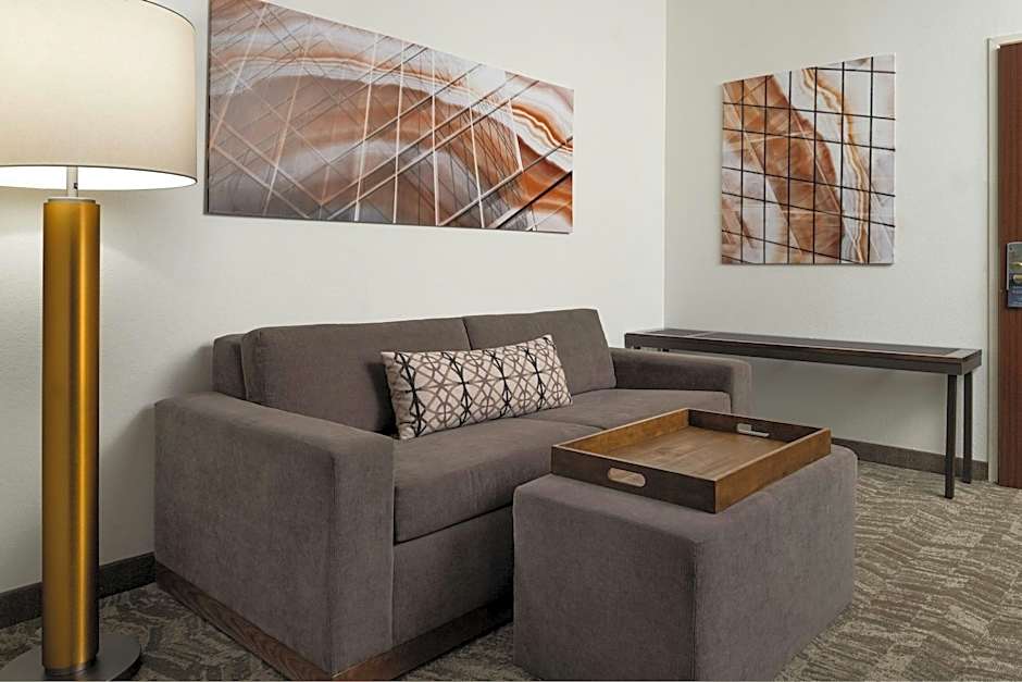 SpringHill Suites by Marriott Kansas City Overland Park