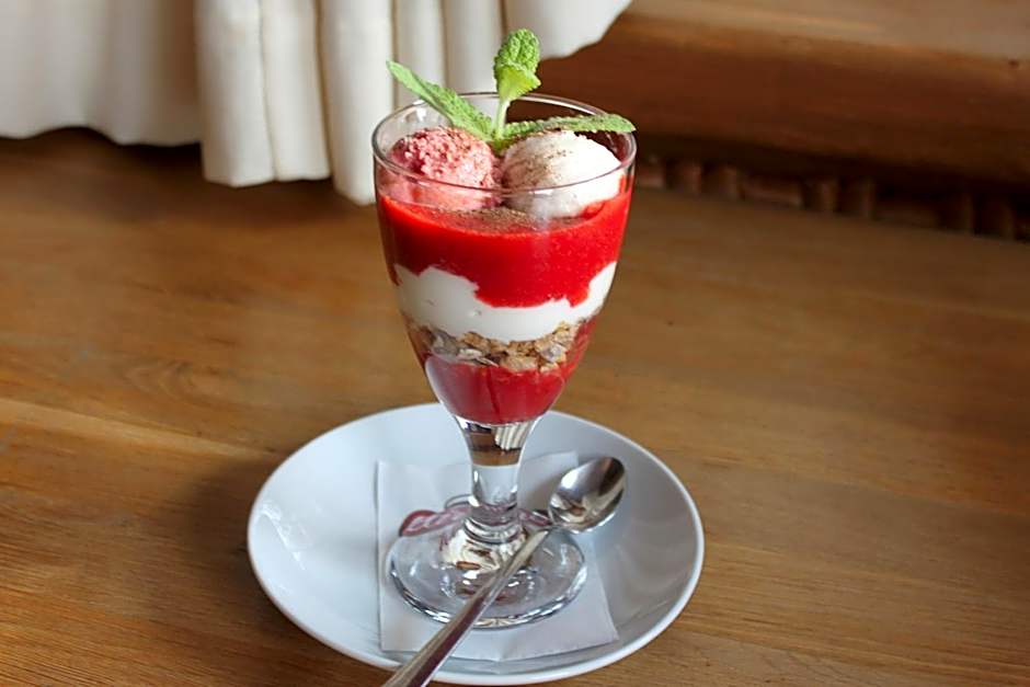 Willa Pod Miedzą 200 m do Term