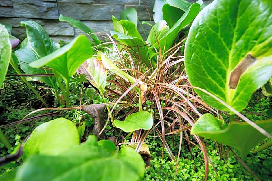 MAISON KERVARREC - Rennes - Saint-Grégoire