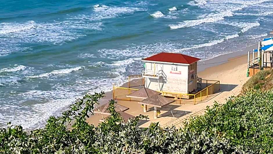 ?????? ????? ??????? ??? ???? -?? ?'???? ????