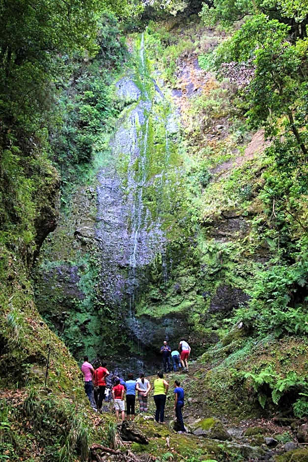 Casinhas da Laurissilva
