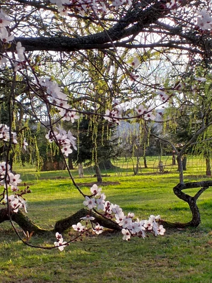 DOMAINE BERENGUER