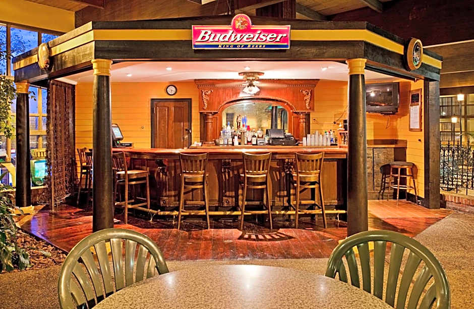 Holiday Inn At Six Flags Saint Louis By IHG