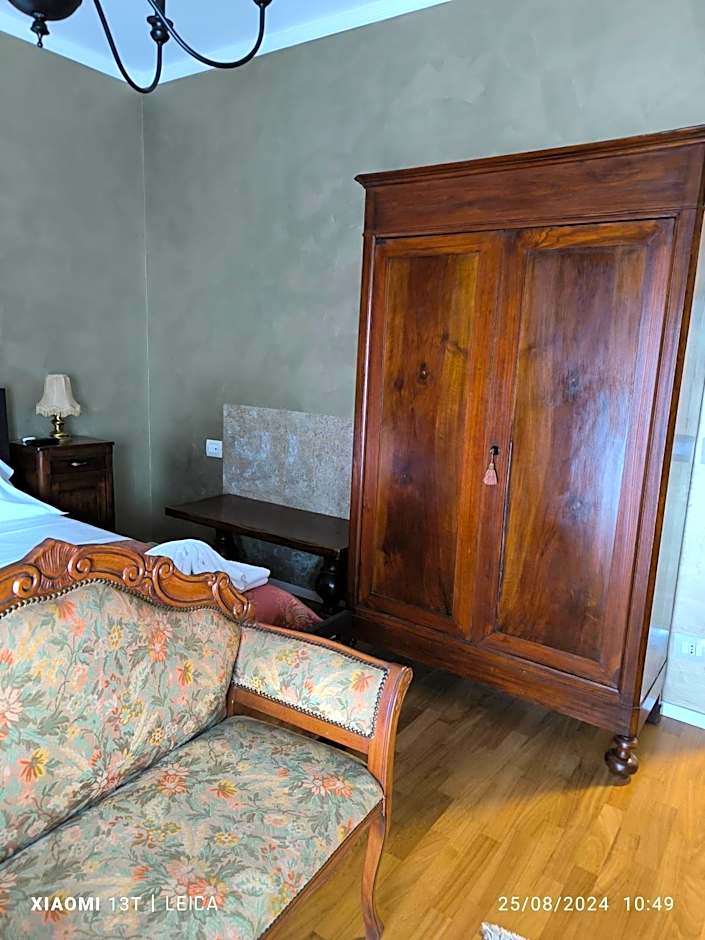 Le piante di casa SaMar