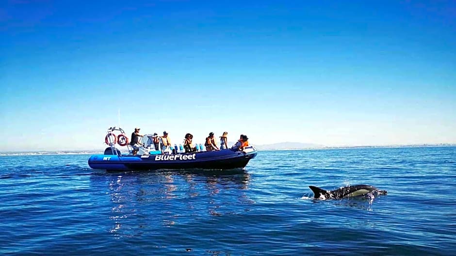 Atalaia Sol Aparthotel - tennis & heated pool in winter