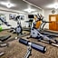 Best Western Plus Peppertree Airport Inn