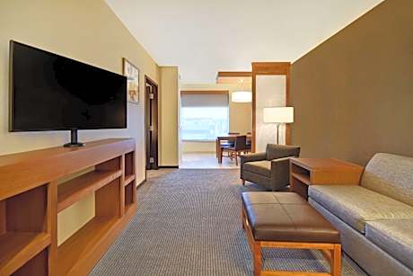 One-Bedroom King Suite with Sofa Bed