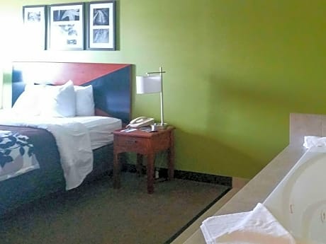 1 King Bed, Suite, Nonsmoking