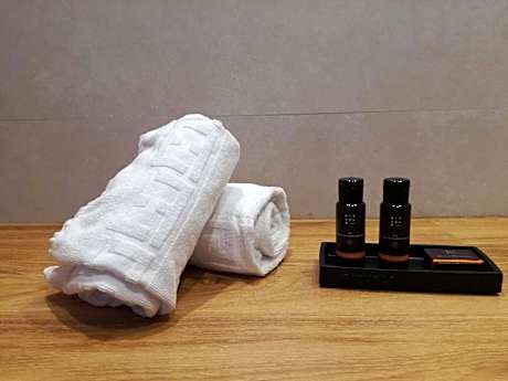 Double Room Single Use (1 Queen Bed)