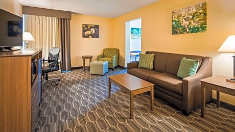 SUITE-1 KING BED,NSMK,JACZZ,FLATSC,HISPD,MICRFG,FULL BREAKFAST