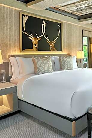 1 Bedroom Residential Suite, 1 King, Sofa bed, Mountain view