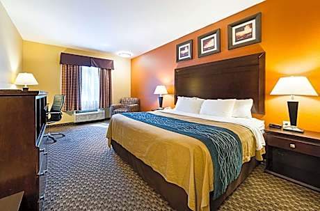 1 King Bed Nonsmoking Accessible