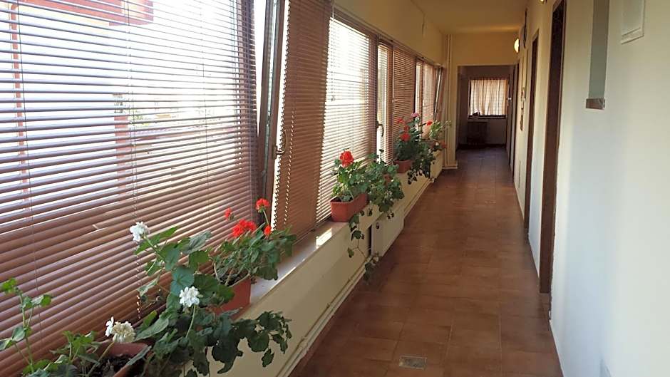 Hostel Nova Route