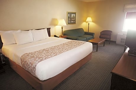 1 King Bed 1-Bedroom Superior Apartment Non-Smoking