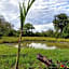Africa Safari Selous Nyerere national park