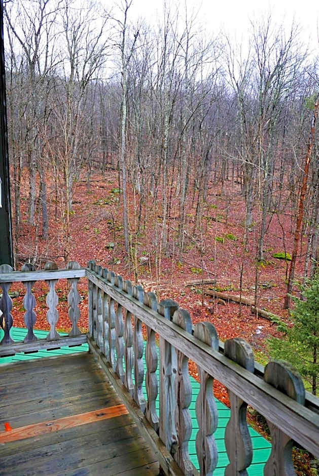 Slide Mountain Forest House