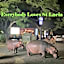 Leopard Tree Lodge