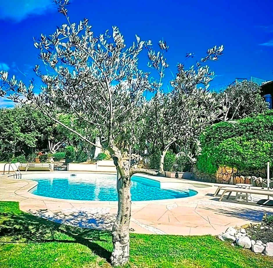 Geco di Giada Exclusive Art Suites
