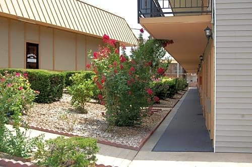 Executive Inn and Suites Springdale