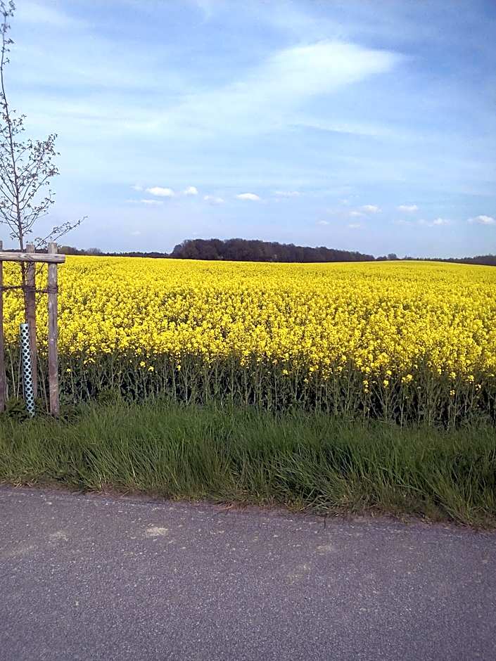 Hotel & Pension Aßmann