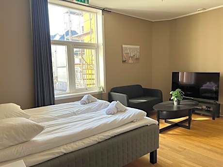 Large Studio Apartment