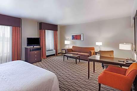 1 King Mobility Access Ri Shwr W/sofabed Ns Microwv/fridge/wet Bar/hdtv/free Wi-fi Hot Breakfast Inc