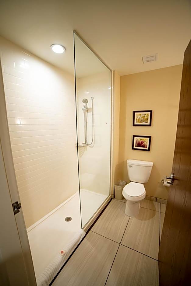 Comfort Suites University