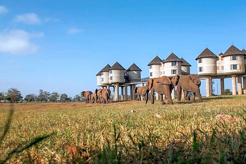 Salt Lick Safari Lodge