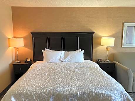 King Studio Suite with Sofa Bed - Non-Smoking