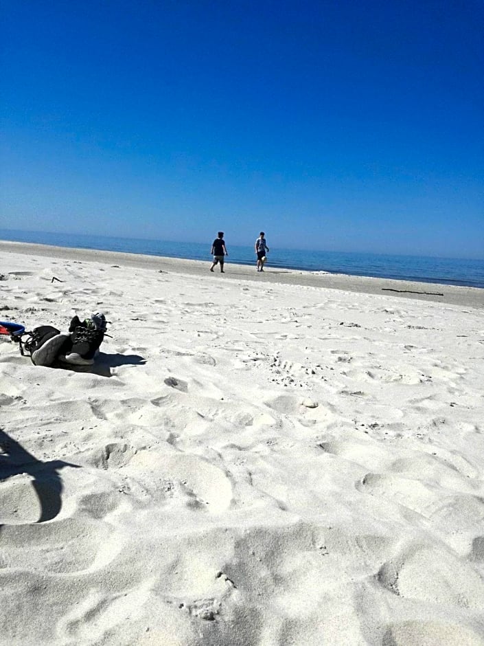 Niezapominajka Kopalino