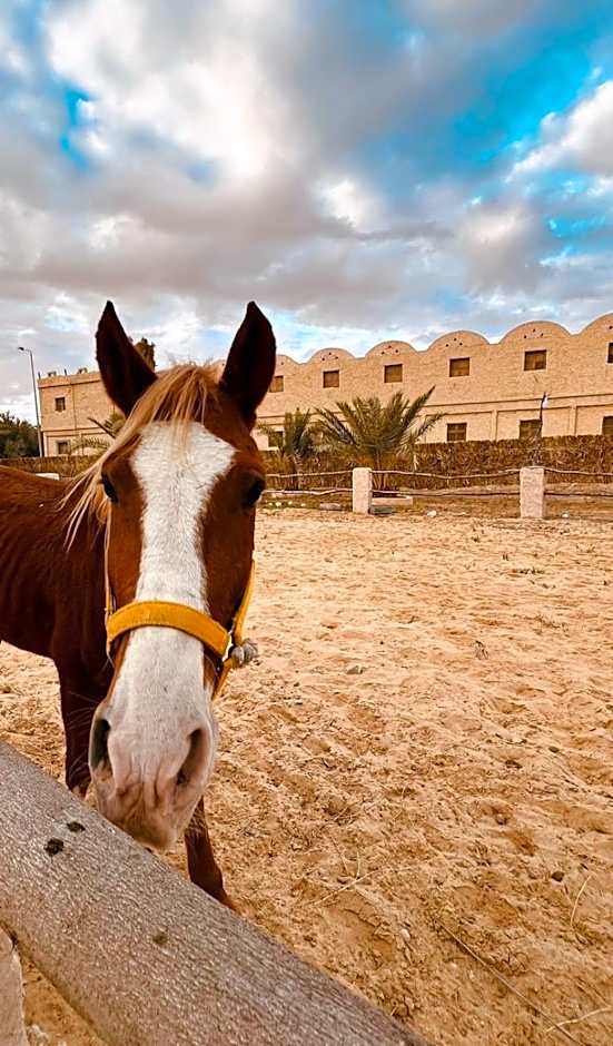 Aghurmi Siwa Ecolodge & Salt Cave