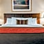 Comfort Inn Utica