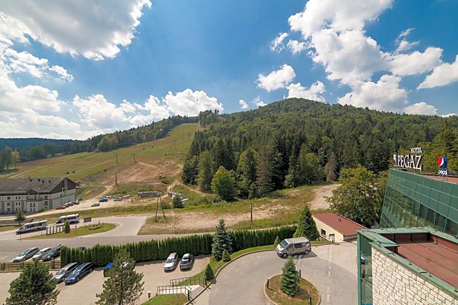 Hotel Pegaz