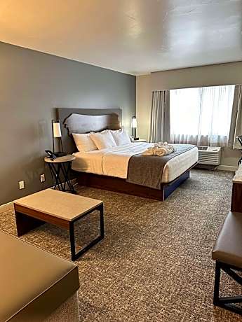 1 King Bed, Non-Smoking, High Speed Internet Access, Microwave And Refrigerator, Coffee Maker, Iron 