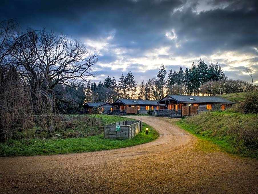 New Forest Lodges