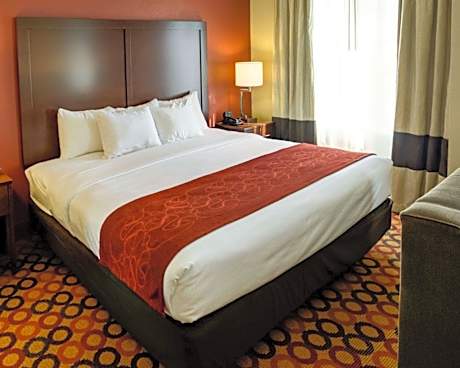 1 King Bed, Suite, Nonsmoking