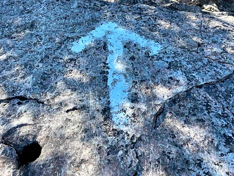 Cozy Pet Friendly Getaway W Fireplace