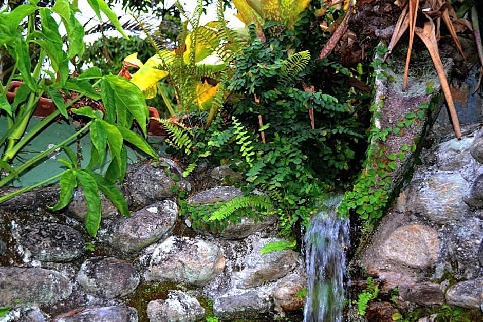 Pousada Em Busca do Sol