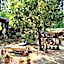 Leaf House Bungalows