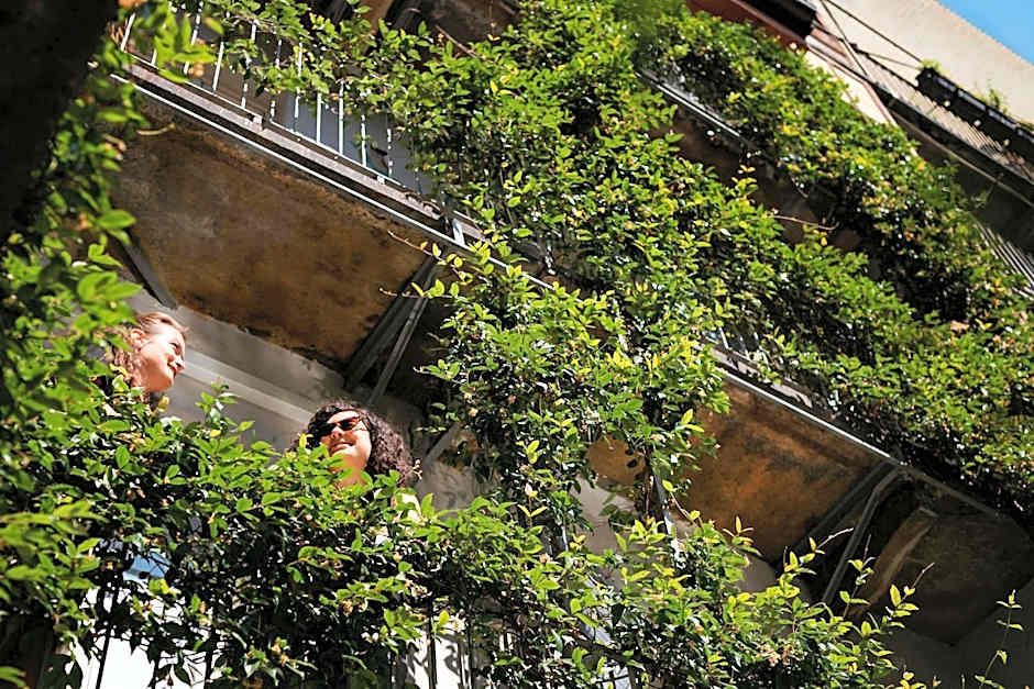 Tomato Urban Retreat