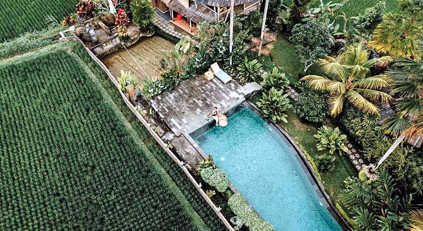 Padi Bali Eco Villas