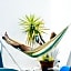 Bura Surfhouse
