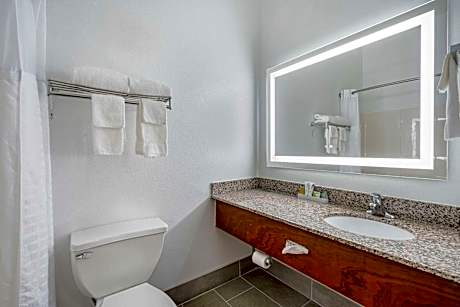 Queen Suite with Living room /Roll-In Shower- Disability Access/Non Smoking