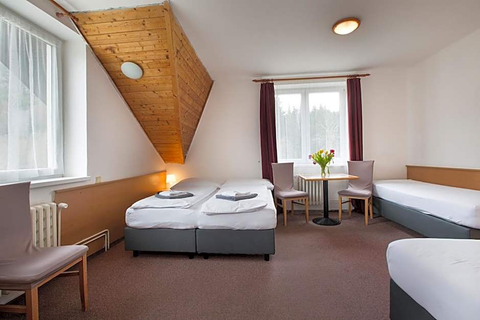 Hotel Harrachov Inn