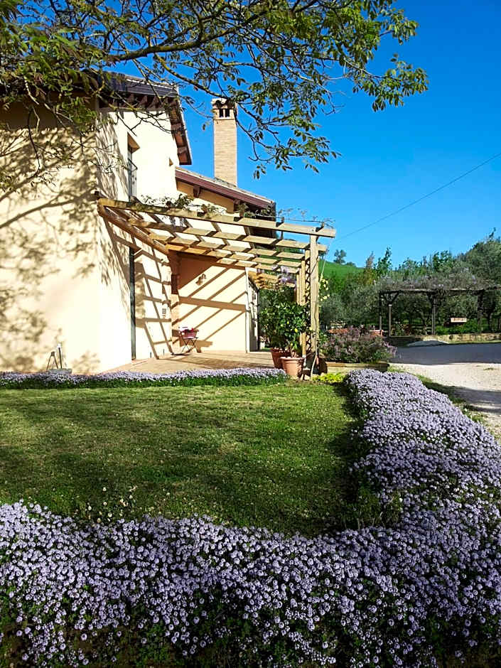 B&B Antegiano