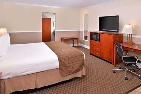 accessible - 1 queen - mobility accessible, bathtub, pet friendly room, non-smoking, full breakfast