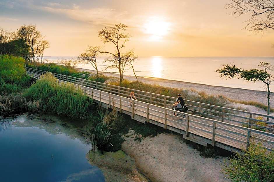 Radison Houses with a garden - Domki z ogródkiem Radison
