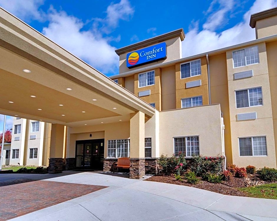 Comfort Inn Mount Airy