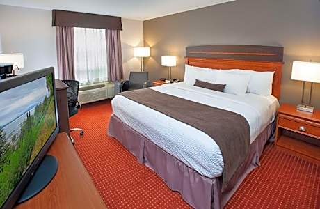 1 King Bed, Non-Smoking, High Speed Internet Access, Coffee Maker, Iron And Ironing Board, Hairdryer