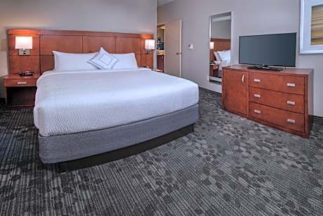 Suite, 1 King Bed with Sofa bed (1 King Bed and 1 Double Sofa Bed)